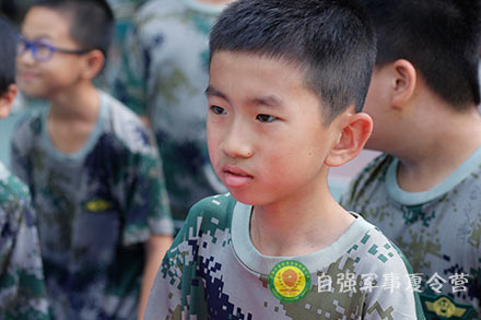 毛毛蟲(chóng)大戰(zhàn)