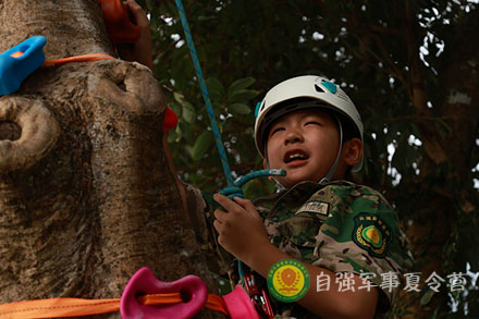 巨樹攀登