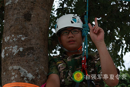 巨樹攀登