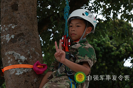 巨樹攀登
