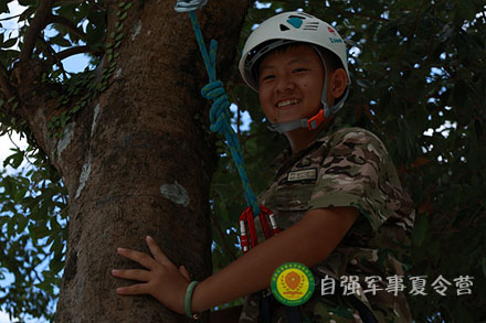 巨樹攀登