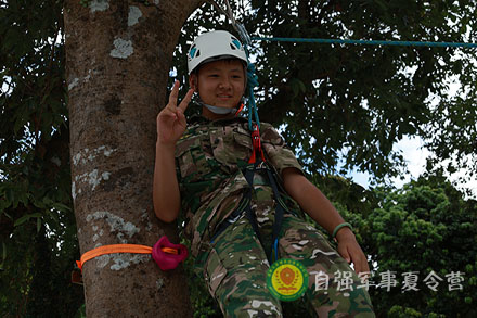 巨樹攀登